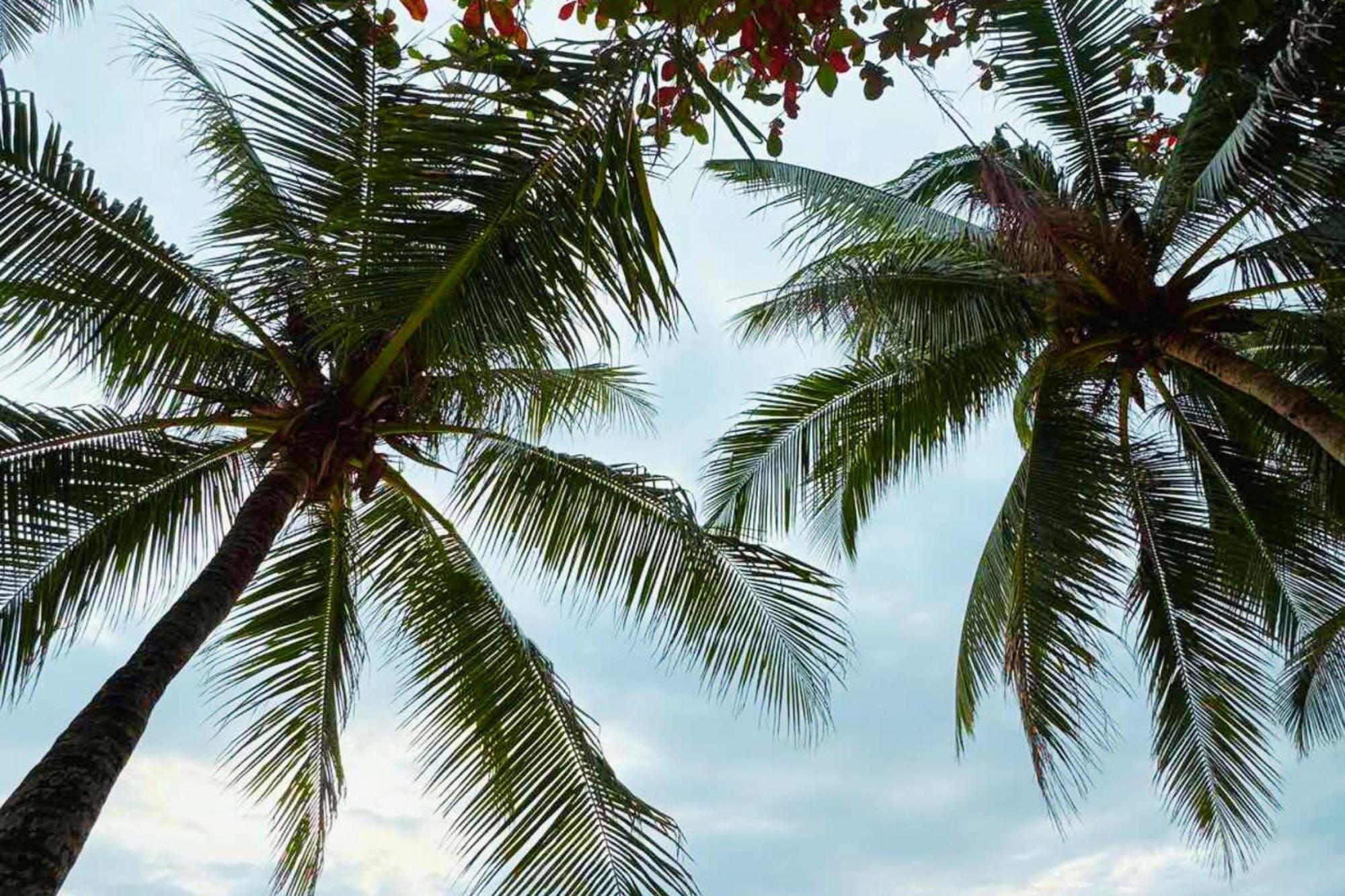 The Muse Hotel Boracay Balabag  Экстерьер фото